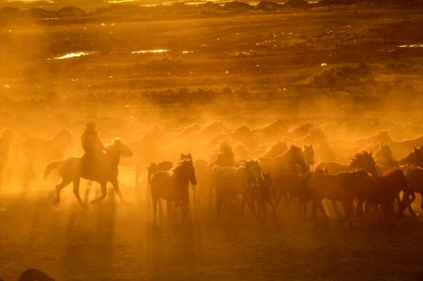 Foto - Burası Texas değil Türkiye