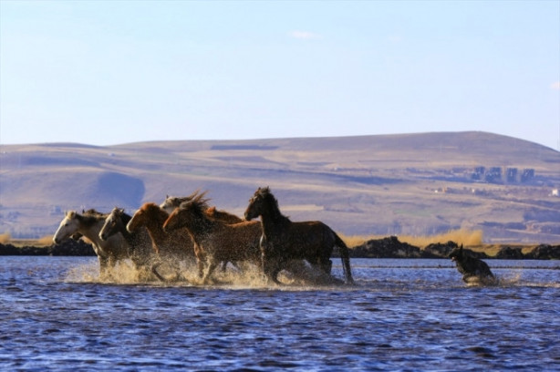 Foto - Burası Texas değil Türkiye