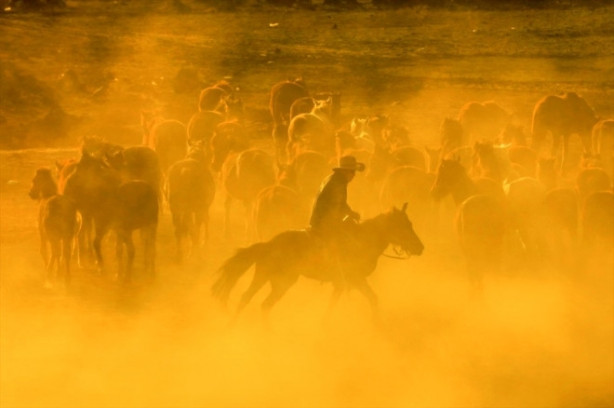 Foto - Burası Texas değil Türkiye