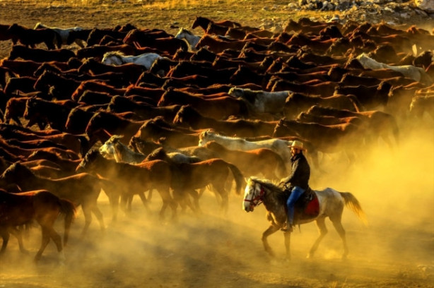 Foto - Burası Texas değil Türkiye