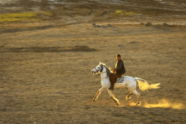 Foto - Burası Texas değil Türkiye