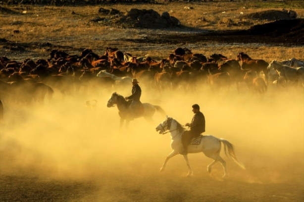 Foto - Burası Texas değil Türkiye