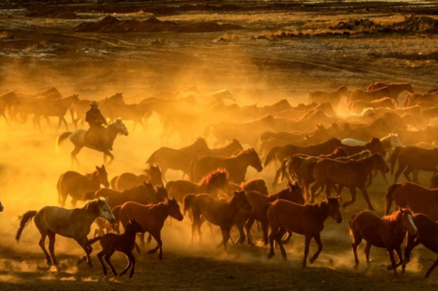 Foto - Burası Texas değil Türkiye