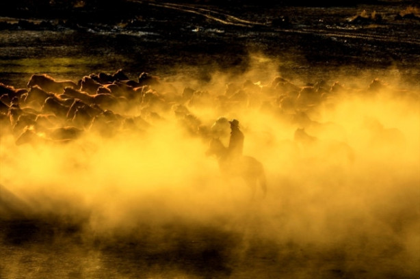 Foto - Burası Texas değil Türkiye