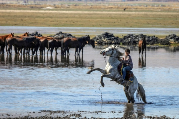 Foto - Burası Texas değil Türkiye