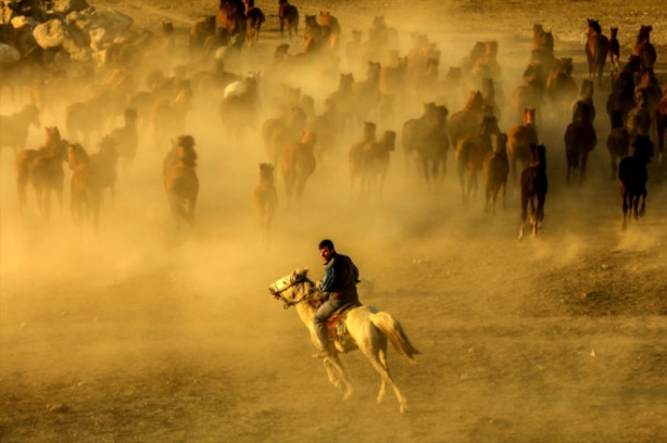 Foto - Burası Texas değil Türkiye