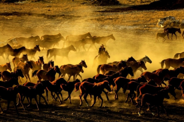Foto - Burası Texas değil Türkiye