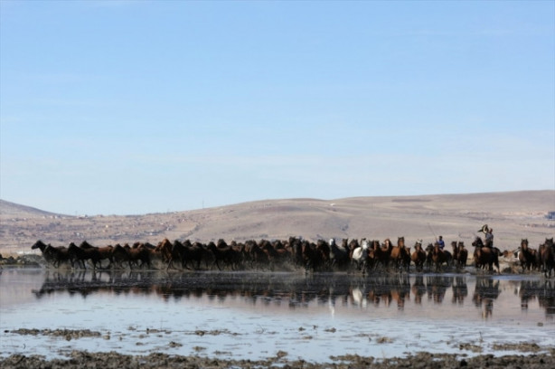 Foto - Burası Texas değil Türkiye