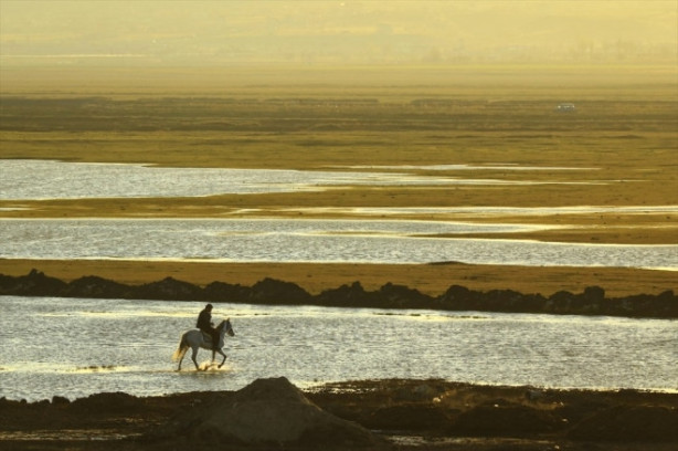 Foto - Burası Texas değil Türkiye