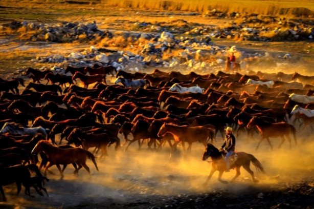 Foto - Burası Texas değil Türkiye