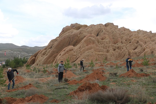 Foto - Burası Türkiye'de! Mars böyle yeşertilecek