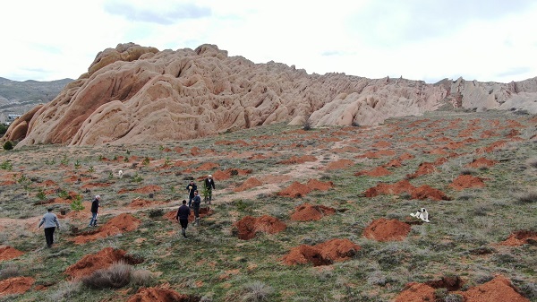 Foto - Burası Türkiye'de! Mars böyle yeşertilecek