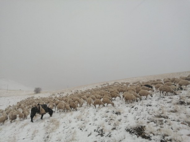 Foto - Burası Yağdonduran!