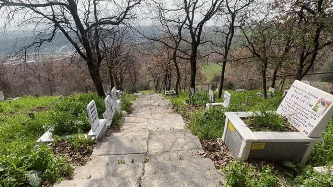 Foto - Burası da evcil hayvan mezarlığı: Defin ücreti pes dedirtti!