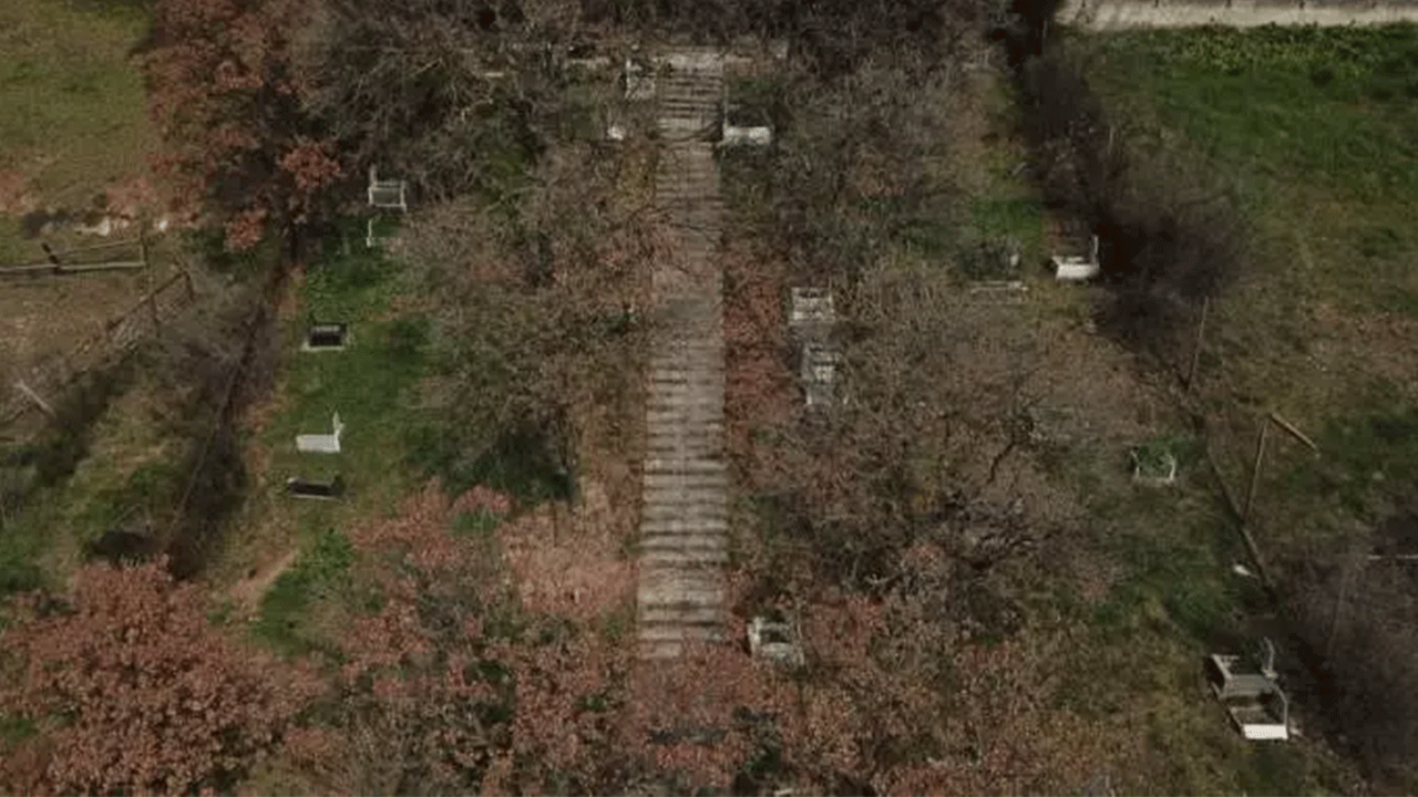 Foto - Burası da evcil hayvan mezarlığı: Defin ücreti pes dedirtti!