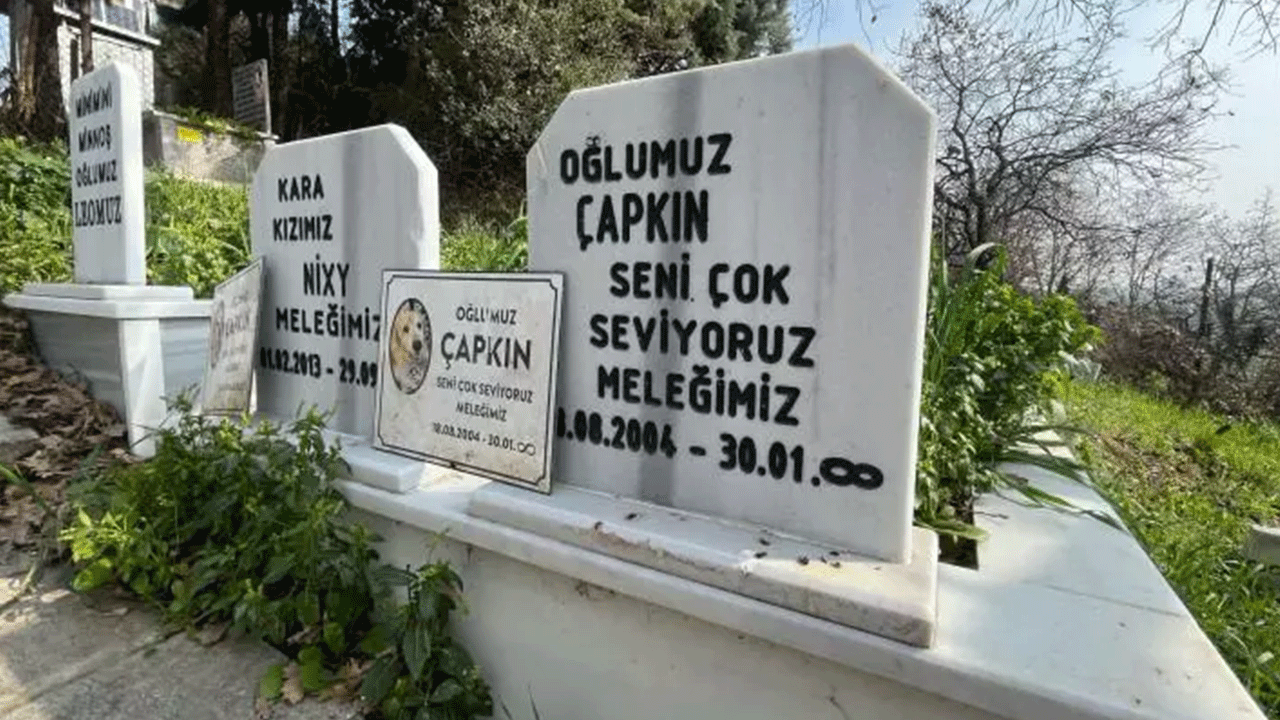 Foto - Burası da evcil hayvan mezarlığı: Defin ücreti pes dedirtti!
