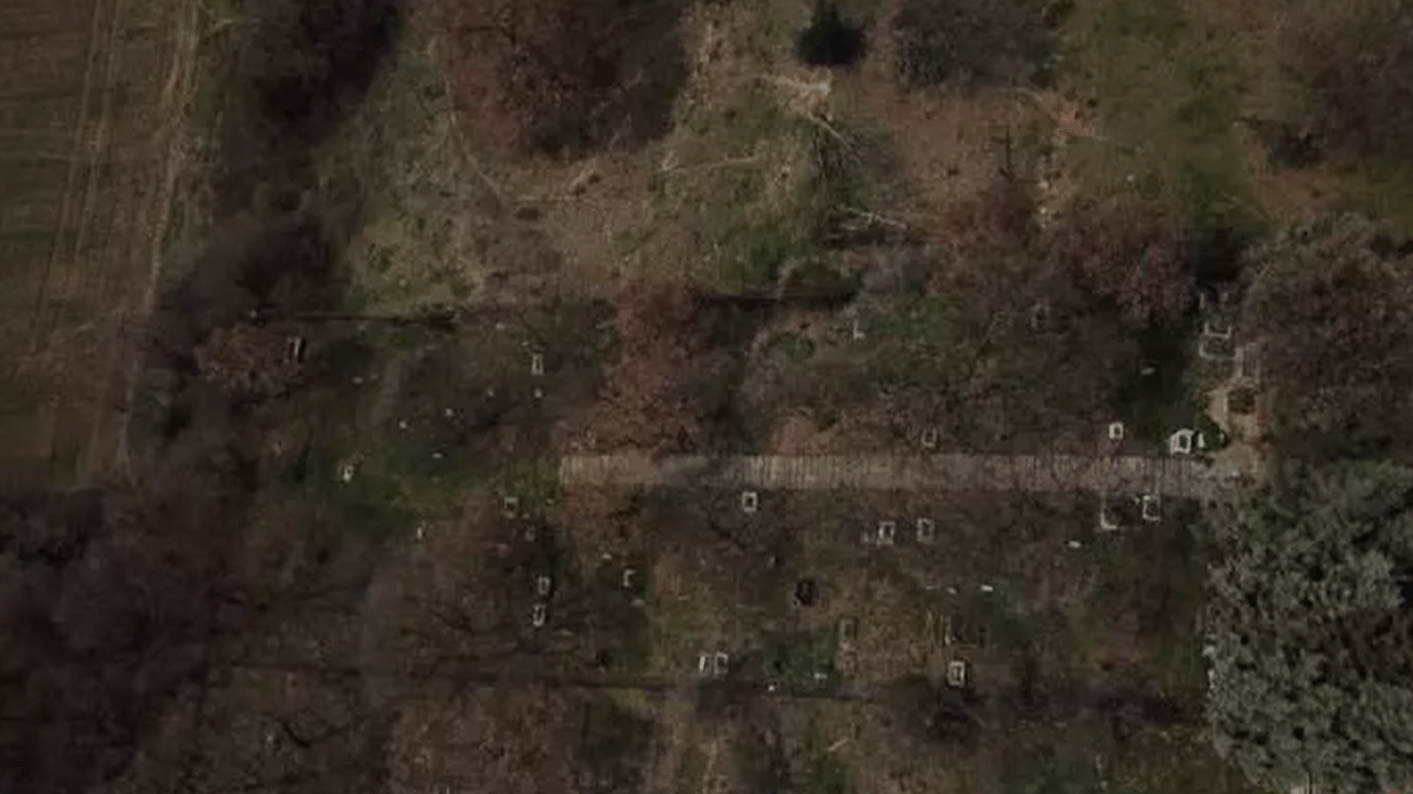 Burası da evcil hayvan mezarlığı: Defin ücreti pes dedirtti!