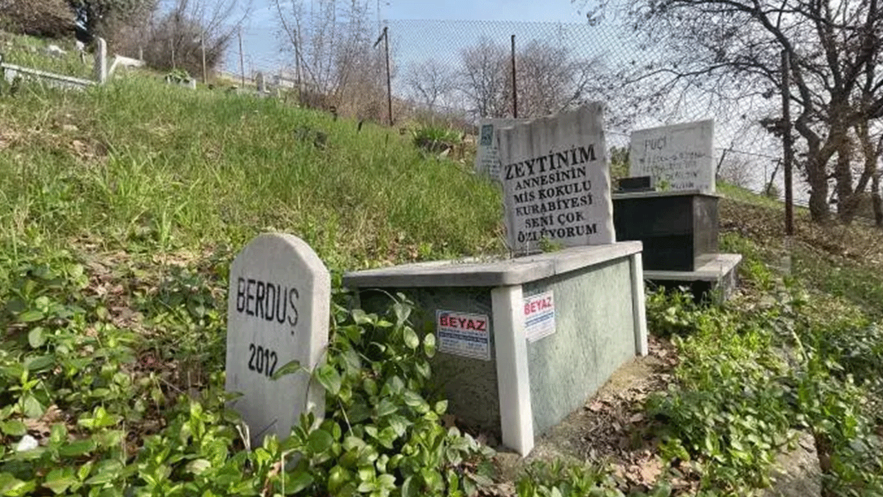 Foto - Burası da evcil hayvan mezarlığı: Defin ücreti pes dedirtti!