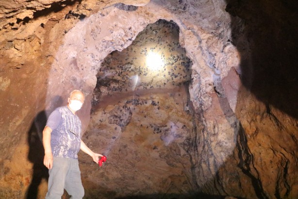 "Buraya gelenler bizden habersiz kesinlikle girmesin" Binlerce yarasaya ev sahipliği yapıyor!