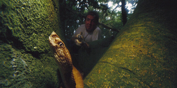 Buraya giren bir daha çıkamıyor: Girişler yasaklandı
