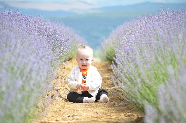 Foto - Buraya stresli girmek yasak