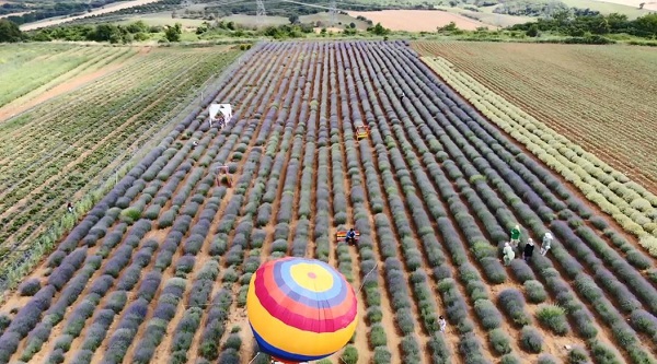 Foto - Buraya stresli girmek yasak