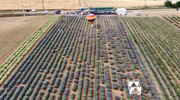 Buraya stresli girmek yasak