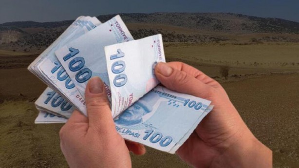 Buraya yatırım yapanlar yaşadı! Değeri yüzde 180 arttı
