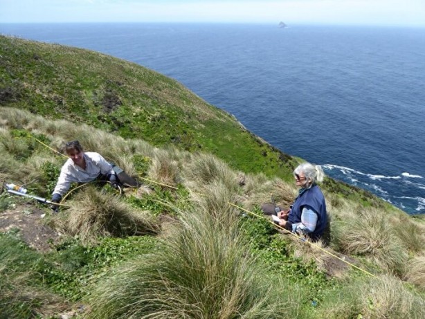 Foto - Buraya yerleşene ev ve para veriyorlar