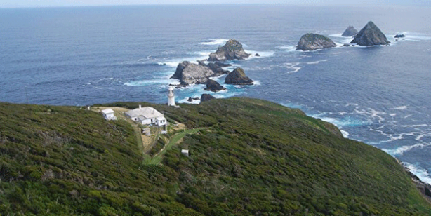 Buraya yerleşene ev ve para veriyorlar