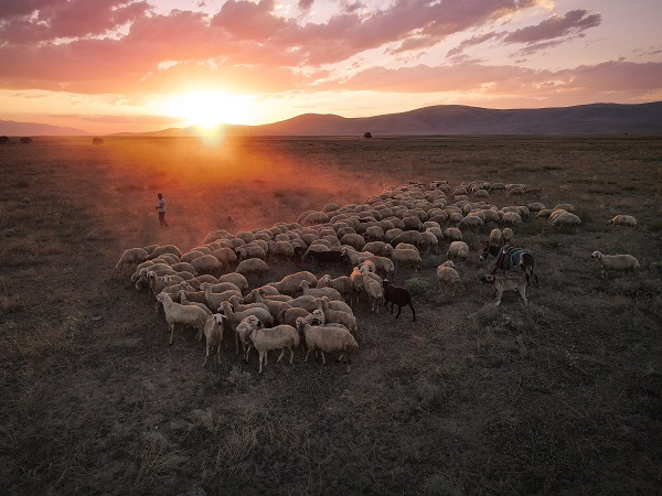 Foto - Burdur'da 750 yıllık gelenek
