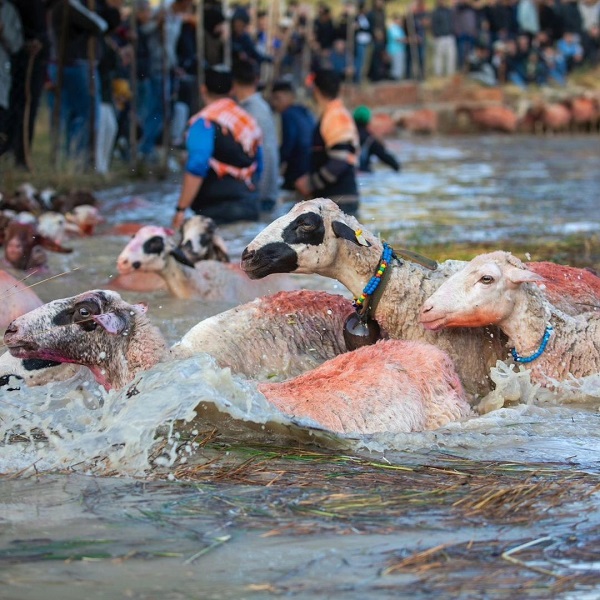 Foto - Burdur'da 750 yıllık gelenek