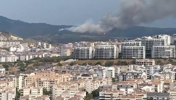 Foto - Bursa Valisi Demirtaş yangın söndürme çalışmalarını yerinde inceledi!