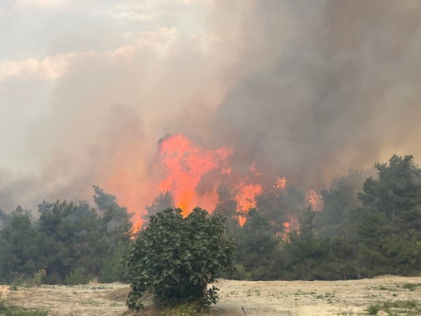Bursa Valisi Demirtaş yangın söndürme çalışmalarını yerinde inceledi!