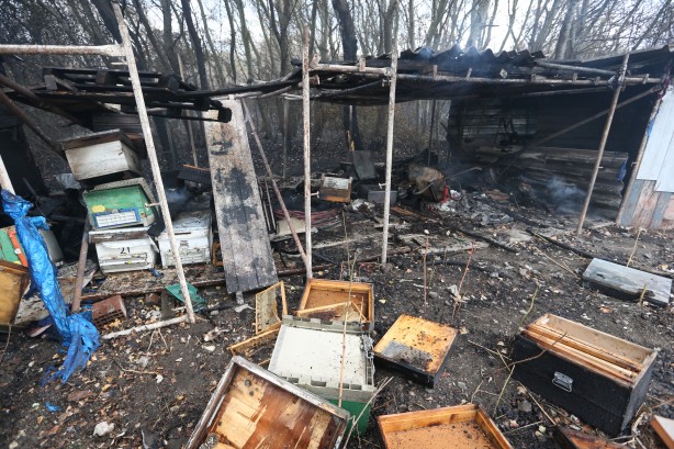 Foto - Bursa'da ağaçlık alanda çıkan yangın söndürüldü