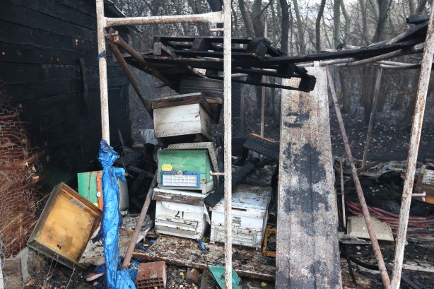 Foto - Bursa'da ağaçlık alanda çıkan yangın söndürüldü