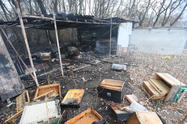 Foto - Bursa'da ağaçlık alanda çıkan yangın söndürüldü