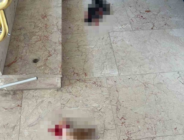 Bursa’da dehşete düşüren olay! Bunu yapan insan olamaz! Allah sizi kahretsin 