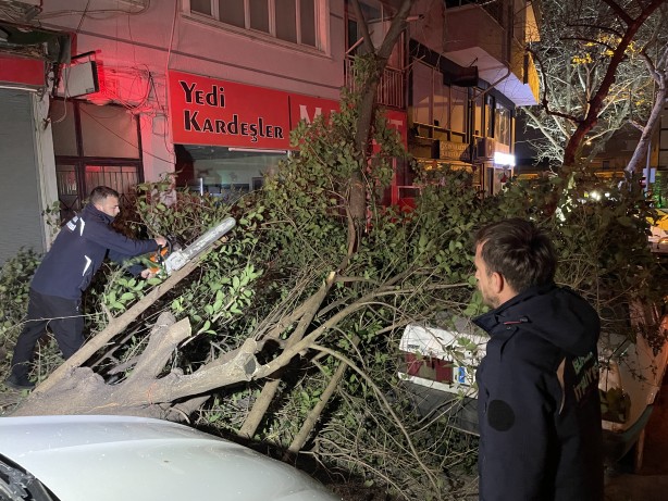 Foto - Bursa'da devrilen ağacın altında kalan otomobil hasar gördü