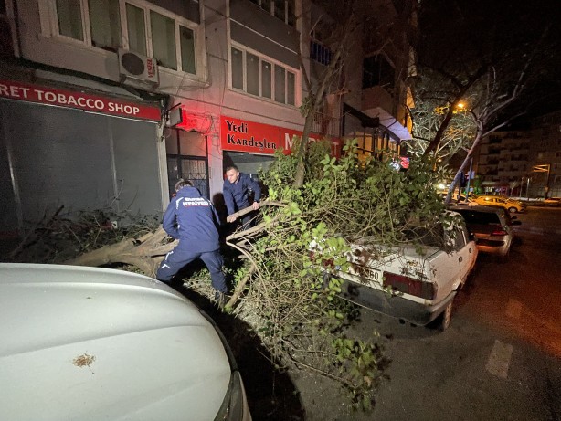 Foto - Bursa'da devrilen ağacın altında kalan otomobil hasar gördü