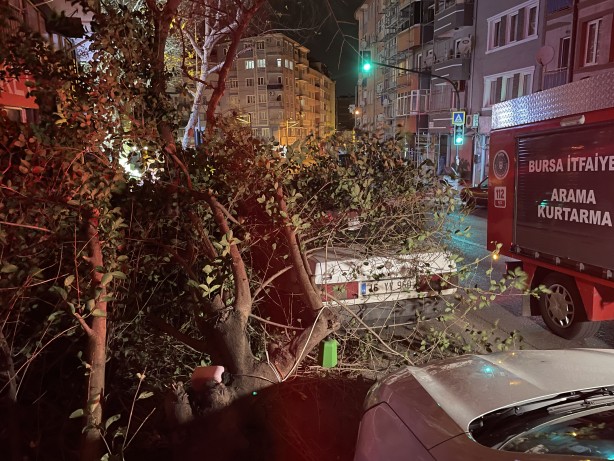 Foto - Bursa'da devrilen ağacın altında kalan otomobil hasar gördü