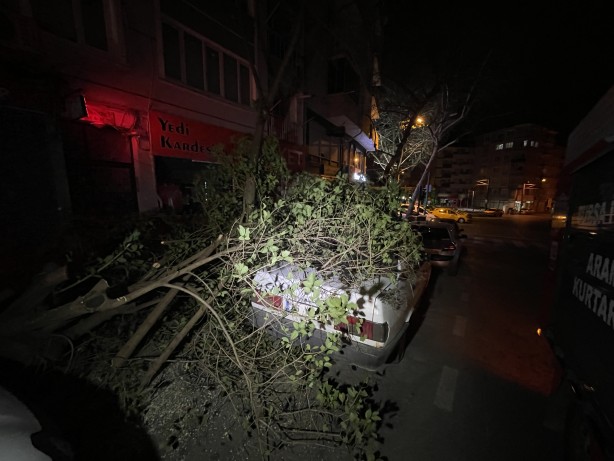 Bursa'da devrilen ağacın altında kalan otomobil hasar gördü