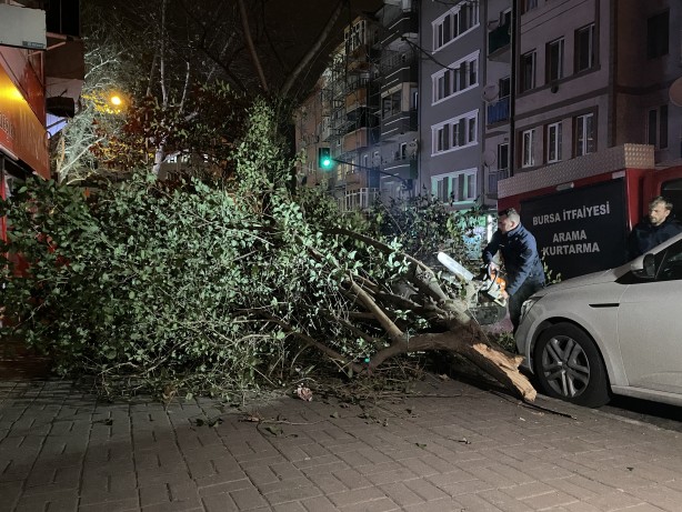 Foto - Bursa'da devrilen ağacın altında kalan otomobil hasar gördü