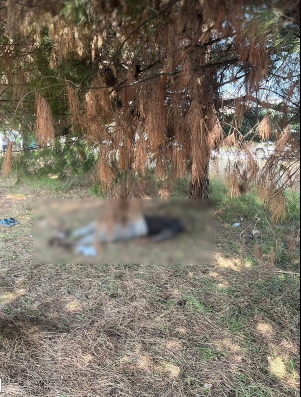 Bursa’da esrarengiz! Bakım için gelenler bakın ne buldu