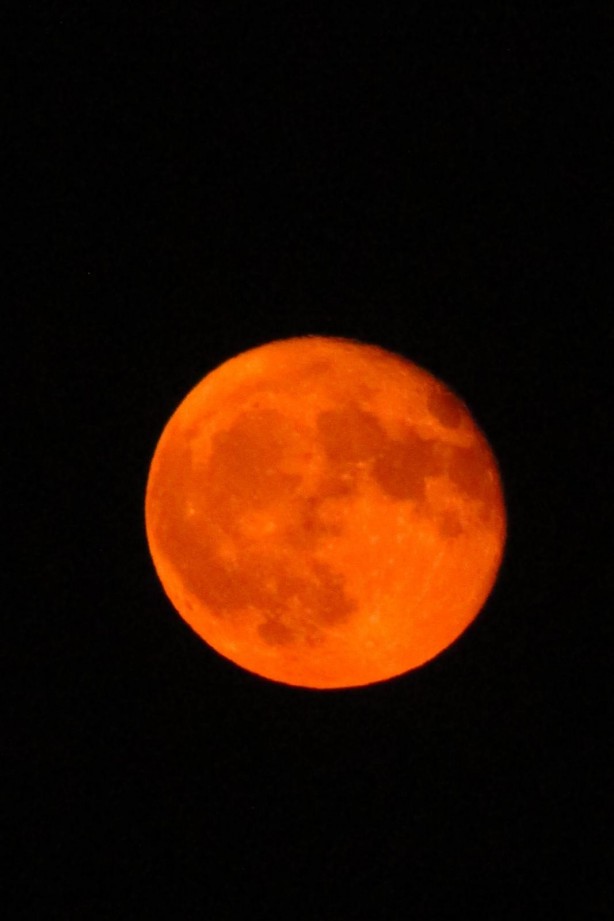 Foto - Bursa’da gökyüzüne bakanlar adeta mest oldu