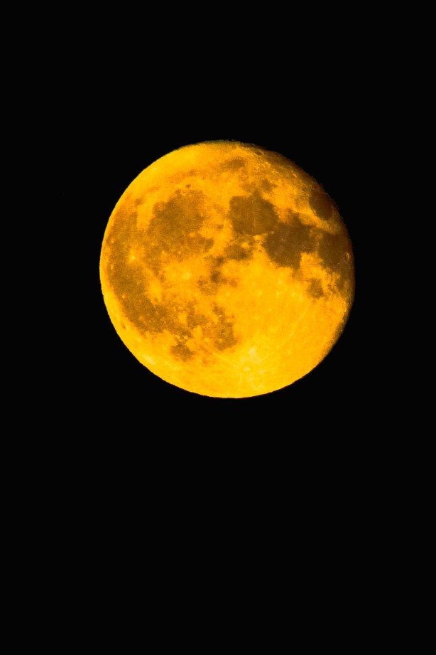 Foto - Bursa’da gökyüzüne bakanlar adeta mest oldu