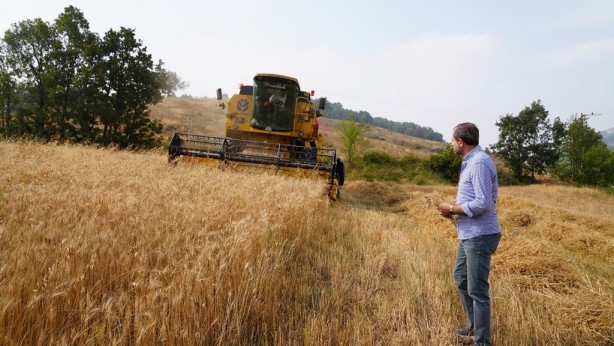 Foto - Bursa'da Gürsu Belediyesi unları vatandaşın sofrasına ulaştıracak