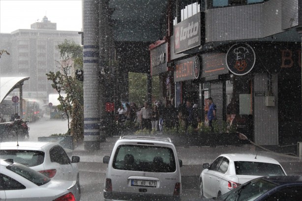 Foto - Bursa'da ilginç anlar! Yağmuru fırsat bilip banyo yaptı