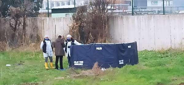 Bursa'da kan donduran olay! Köpekler yarısını yemiş