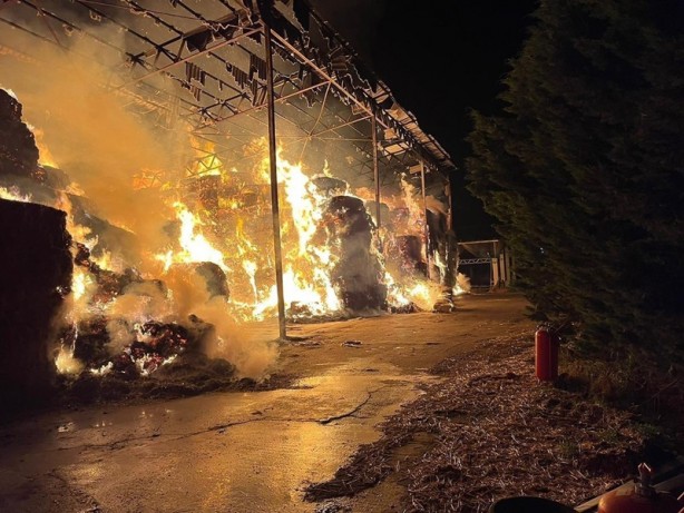 Foto - Bursa'da korkutan yangın
